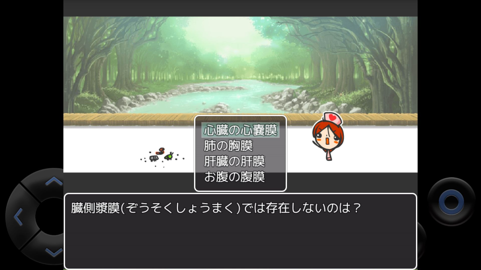 androidアプリ WEB玉クエスト「のほほん解剖生理学」攻略スクリーンショット3