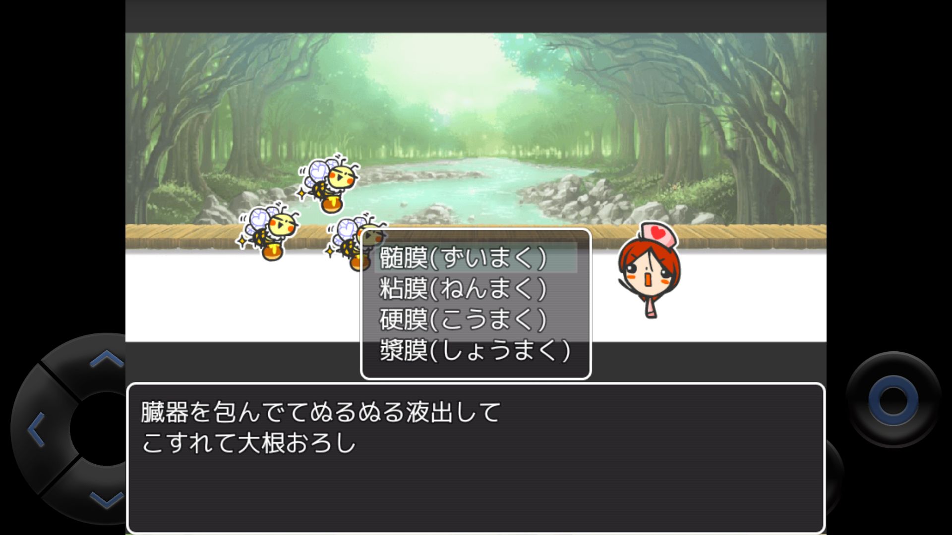 WEB玉クエスト「のほほん解剖生理学」 androidアプリスクリーンショット3
