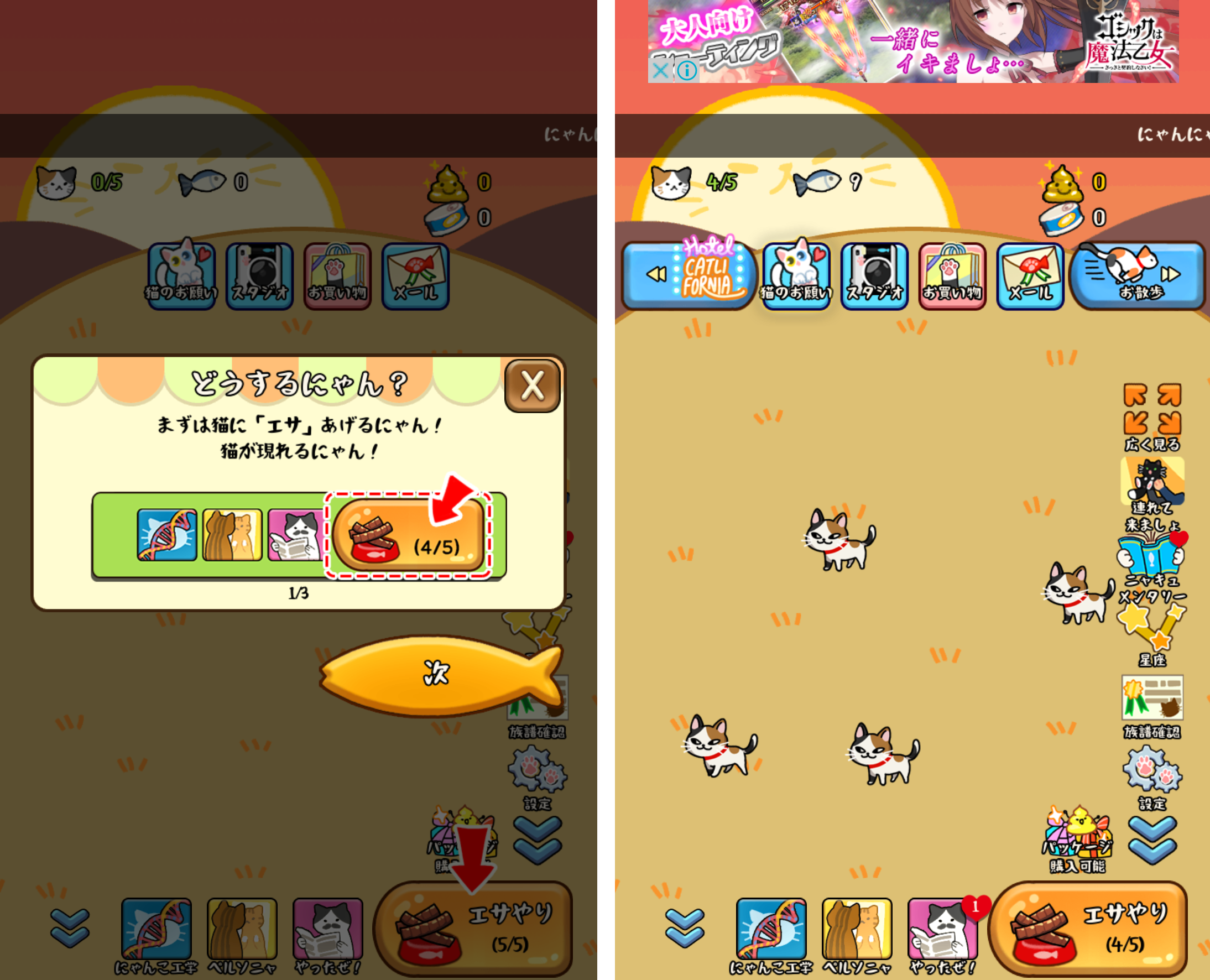 androidアプリ マイにゃんこ：どこでもいっしょに攻略スクリーンショット1