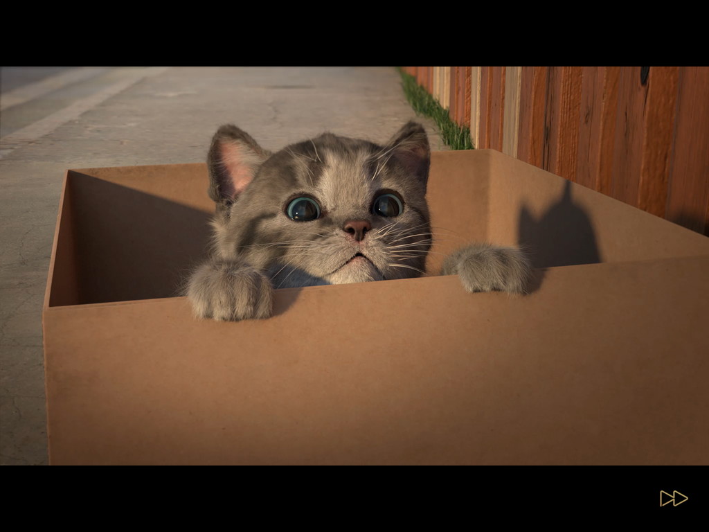 androidアプリ 小さな子猫(Little Kitten)攻略スクリーンショット1