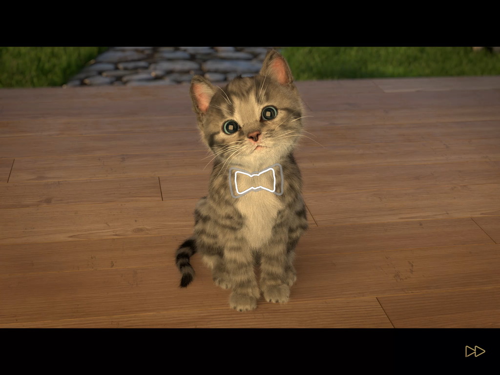 androidアプリ 小さな子猫(Little Kitten)攻略スクリーンショット2