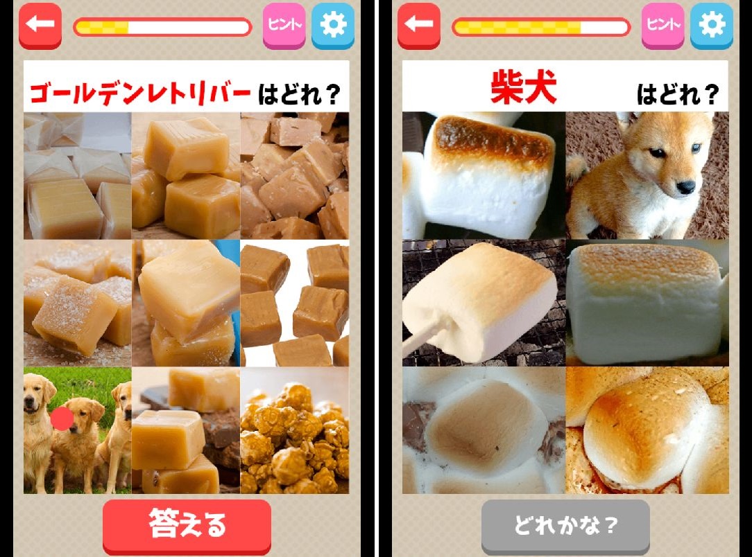androidアプリ 本物ど〜れだ?攻略スクリーンショット4