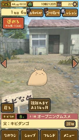 なめすた レビュー画像