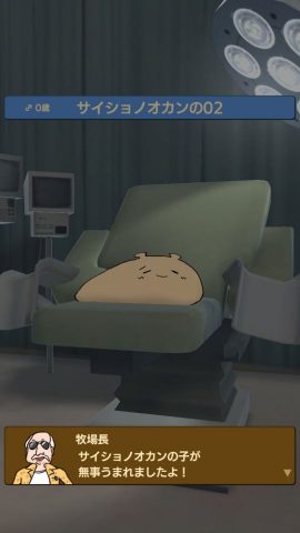なめすた レビュー画像