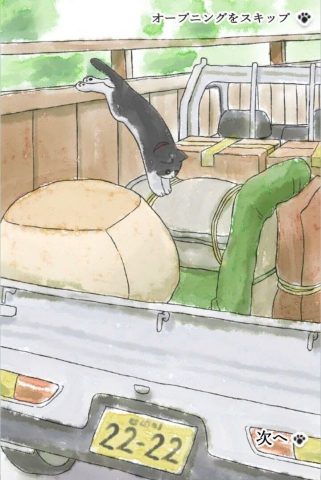 はぐれ猫、路地裏からの脱出