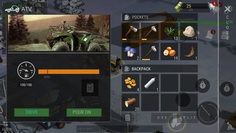 WarZ：Law of Survival