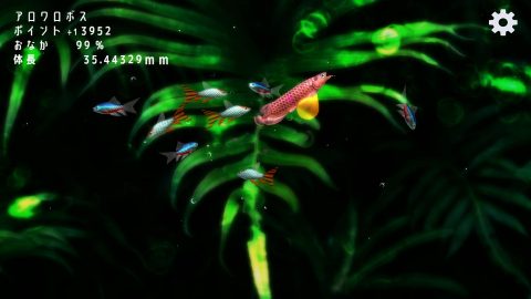 稚魚から育てるアロワナ レビュー