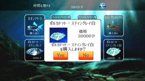 稚魚から育てるアロワナ レビュー