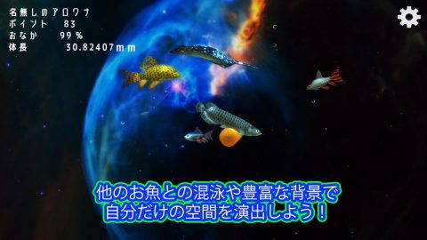 稚魚から育てるアロワナ レビュー