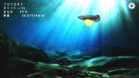 稚魚から育てるアロワナ レビュー