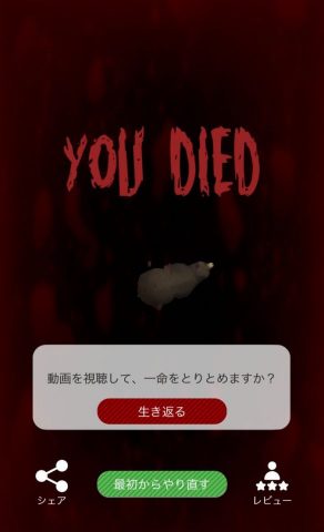 くまといっしょ