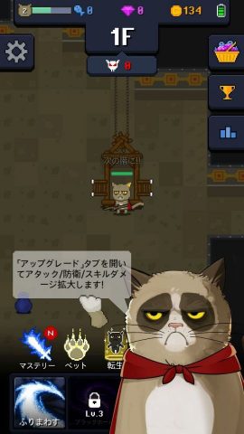 Cat Tower