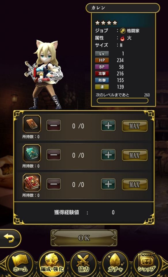 kingsknight_11