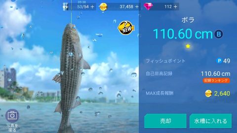 フィッシングストライク