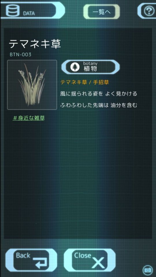 ikai_11