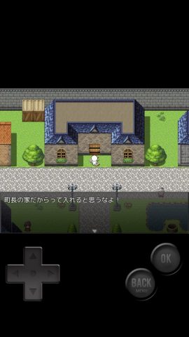 前衛的なクソゲーRPGレビュー画像