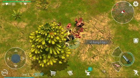 Live or Die:survival