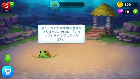 フィッシュダム