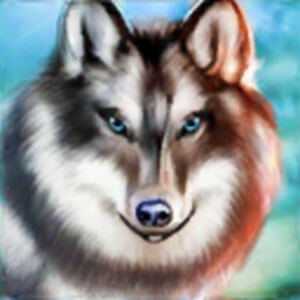 Wolf：The Evolution Onlineの画像