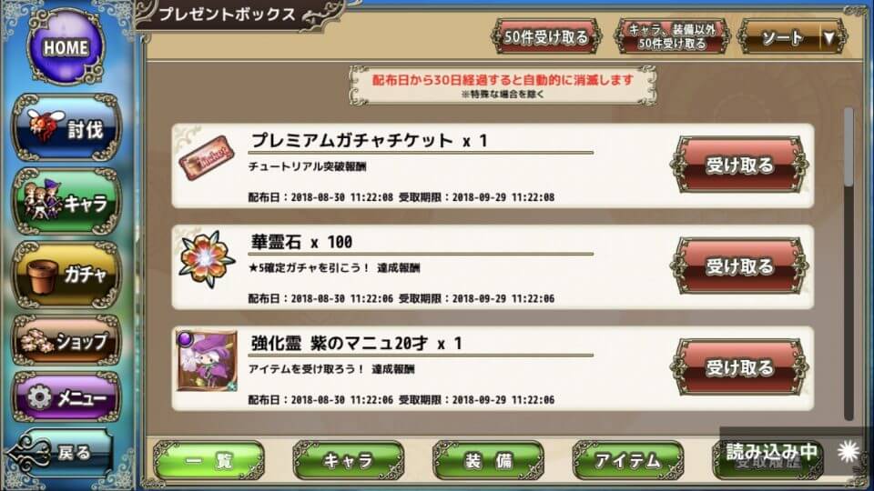 FLOWER KNIGHT GIRL