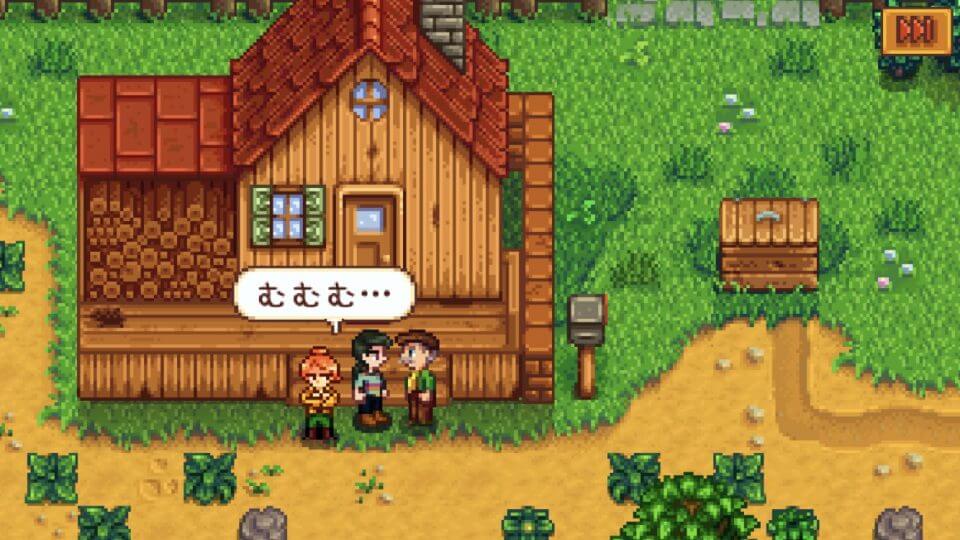 Stardew Valley 「スターデューバレー」