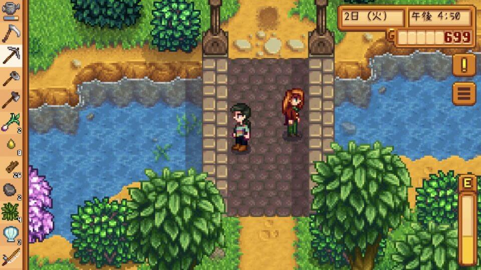 Stardew Valley 「スターデューバレー」