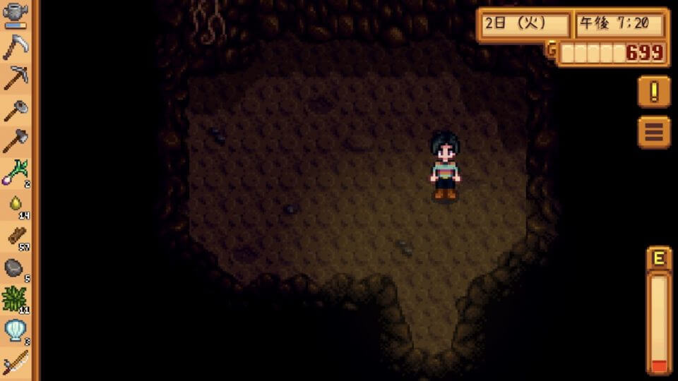 Stardew Valley 「スターデューバレー」