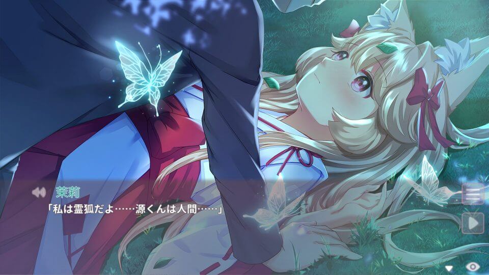Fox Hime Zero レビュー画像