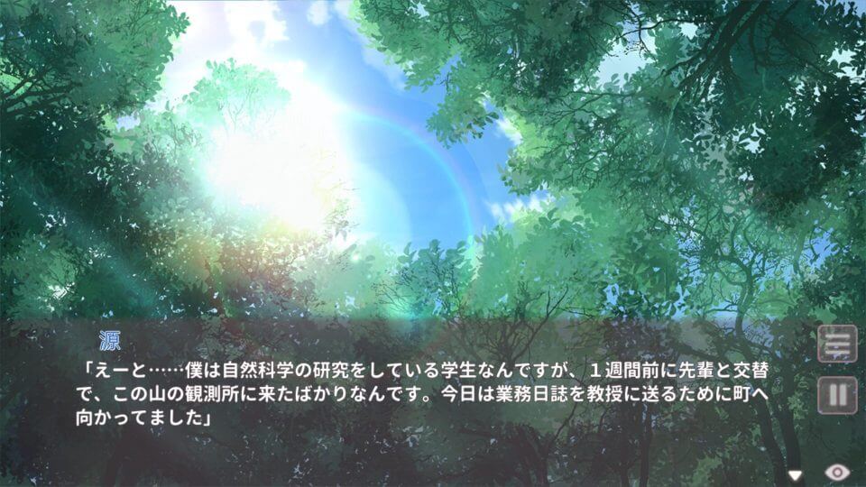 Fox Hime Zero レビュー画像