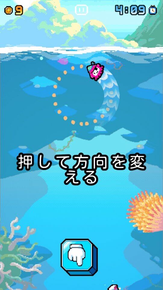 Calamari Kid レビュー画像