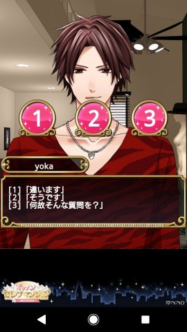 イケセレレビュー画像