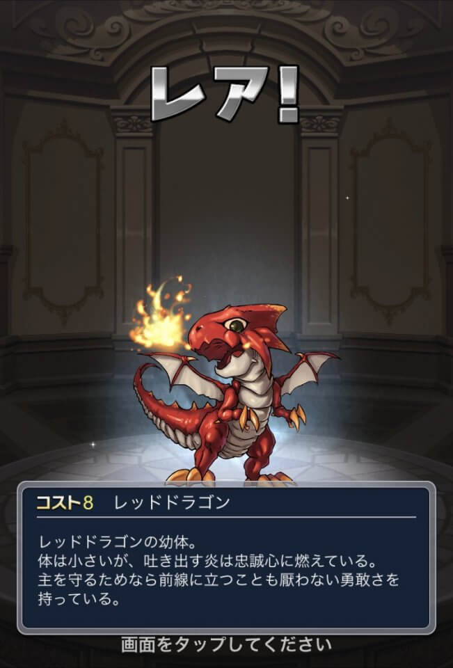 猫とドラゴン