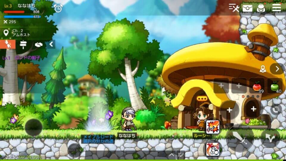 maplem-japan_09