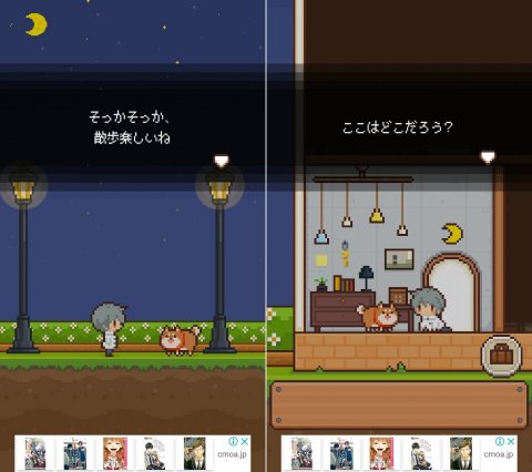 ピクセルハウスレビュー画像