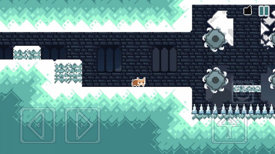 Nameless Cat