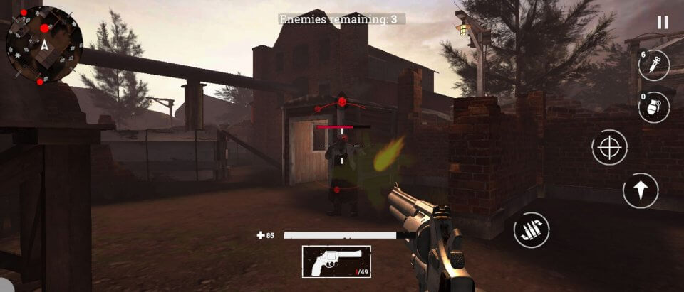 Wild West Survival