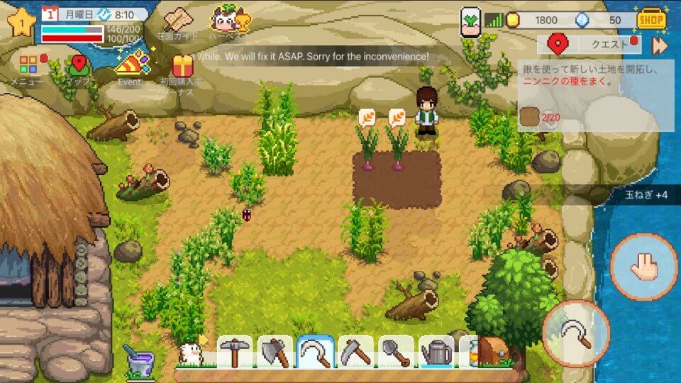 harvest-town_11