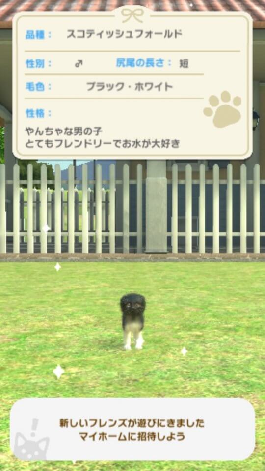 with My CAT - 猫とくらそう - レビュー画像