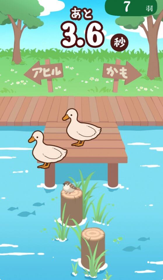アヒルかも? Duck or Duck!