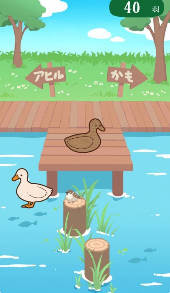 アヒルかも? Duck or Duck!