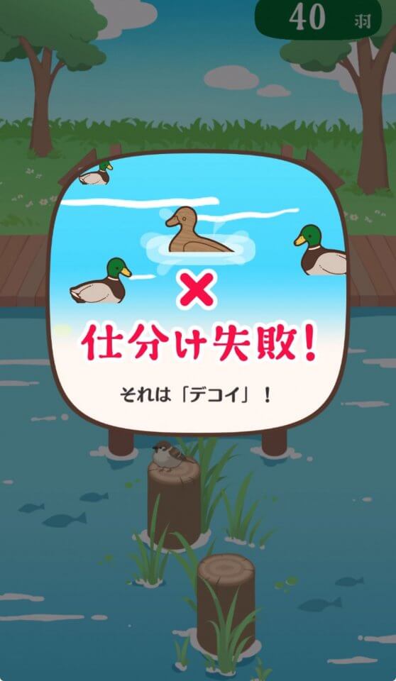 アヒルかも? Duck or Duck!