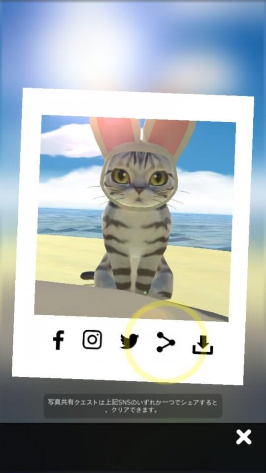 catresort_11