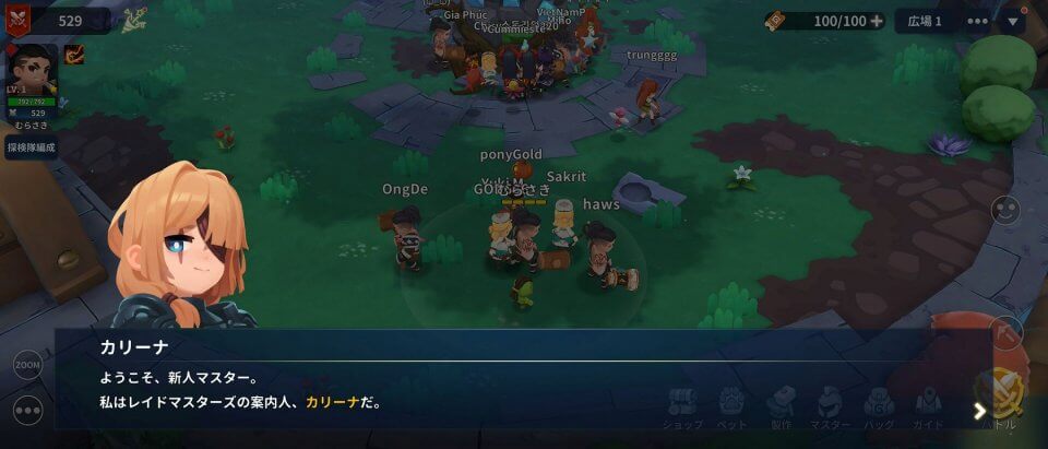 レイドマスターズオンライン