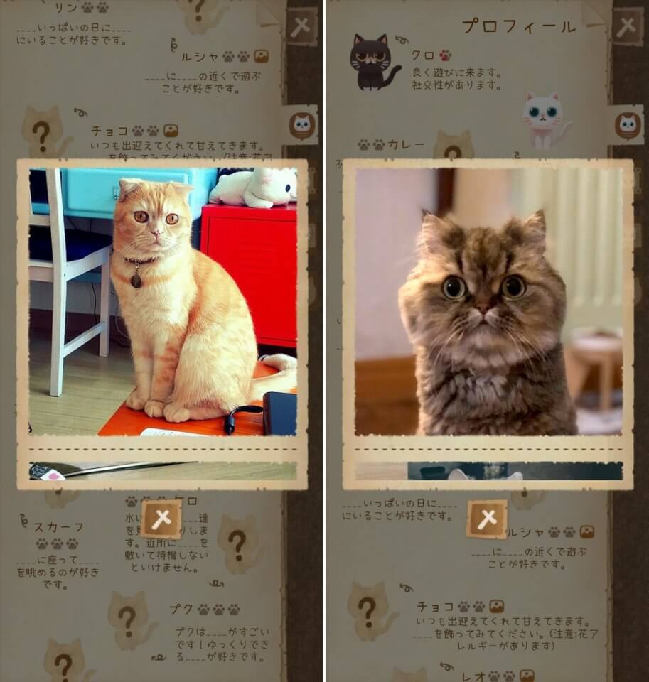 猫と秘密の森レビュー画像