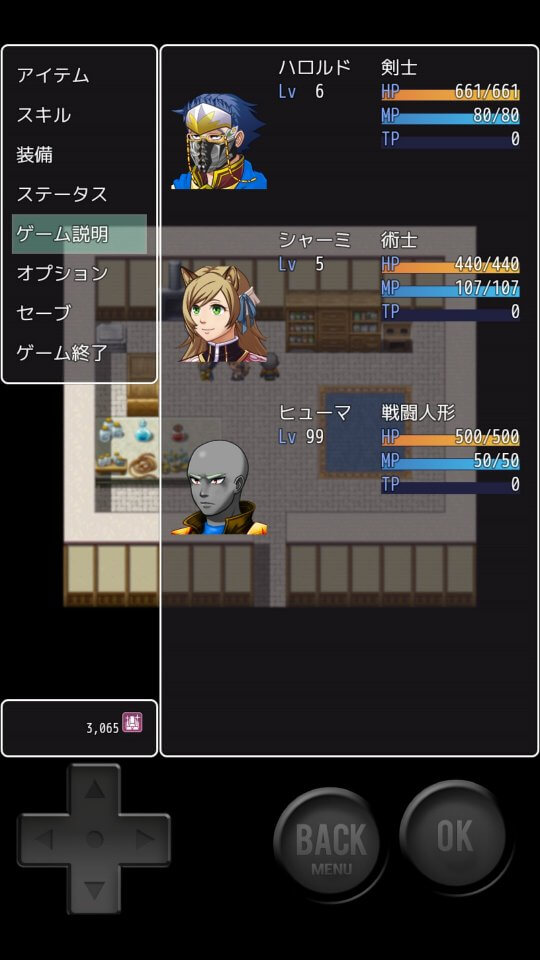 村の大きな家を買ったらの画面