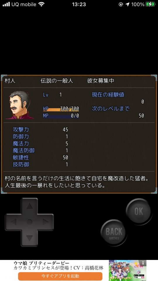 王道クソゲーRPG レビュー画像