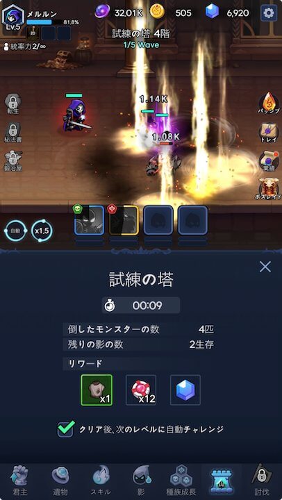 影の騎士