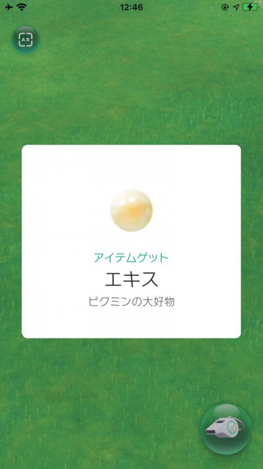 pikmin-bloom_10