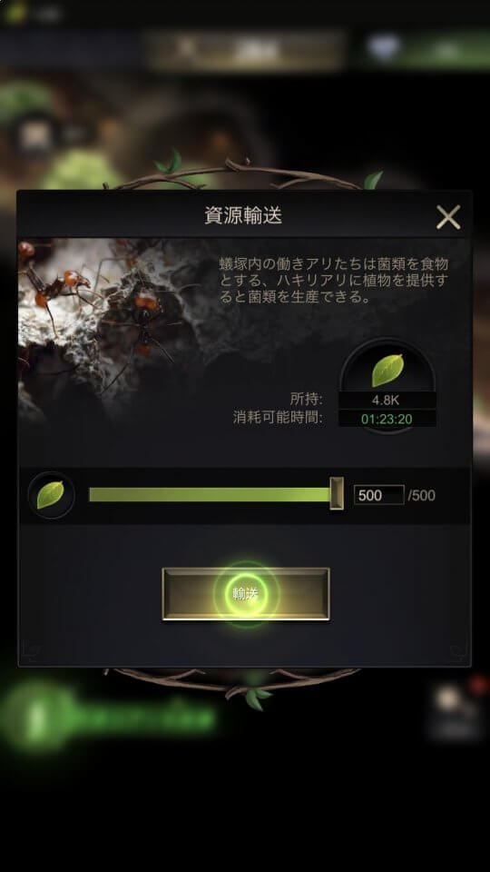 allstarunion