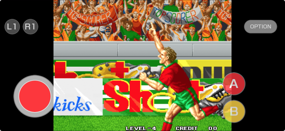 得点王 アケアカNEOGEO
